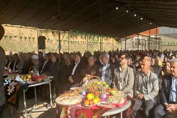 جشنواره گردو رضوانشهر